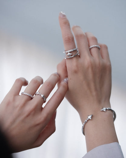 seigun ring